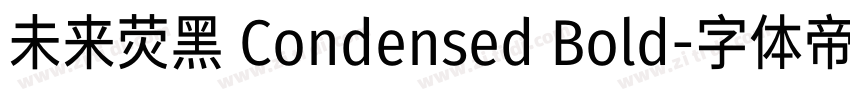 未来荧黑 Condensed Bold字体转换